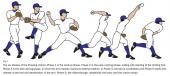 Graphical Abstract of Glenohumeral internal rotation deficit in throwing athletes: current perspectives