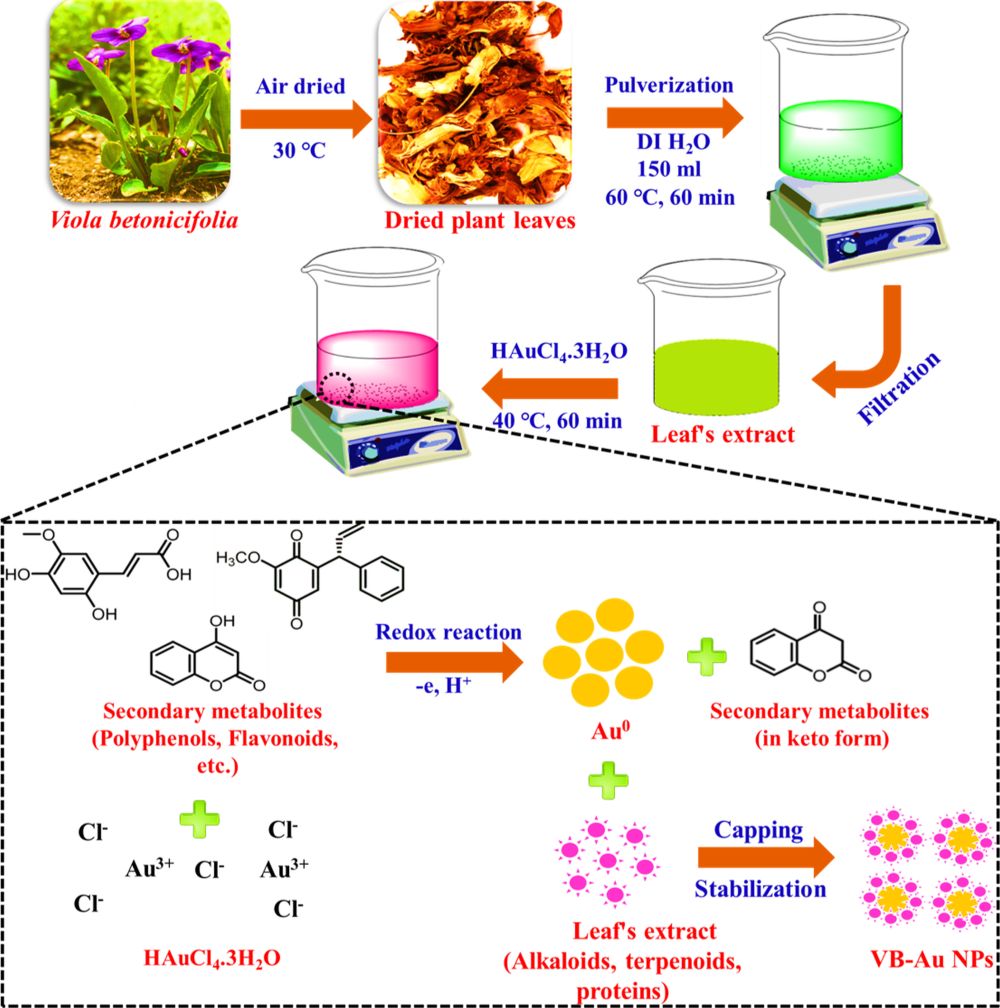 green synthesis of gold nanoparticles thesis
