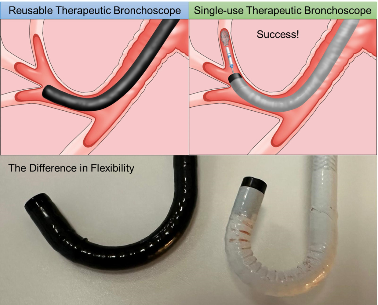 Other papers submitted by dr tadashi sakaguchi