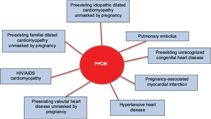 Postpartum Cardiomyopathy: What you need to know - Showit Blog