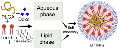 Acidification-Induced Structure Evolution of Lipid Nanoparticles