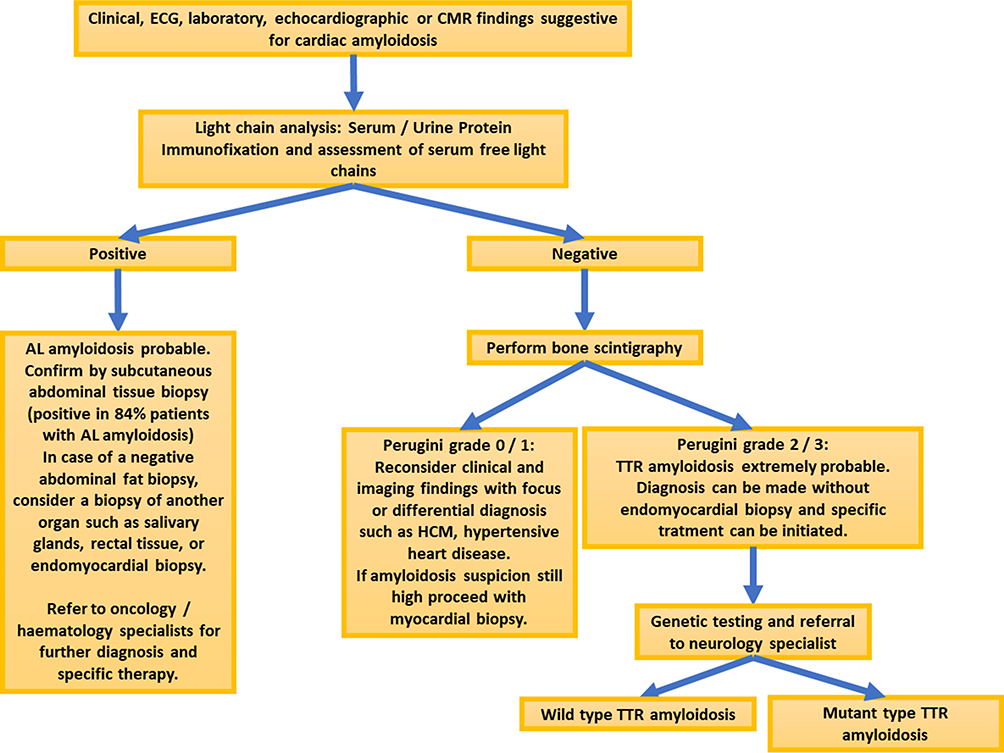 Role of imaging in the diagnosis and management of patients with cardiac  amyloidosis: State of the art review and focus on emerging nuclear  techniques
