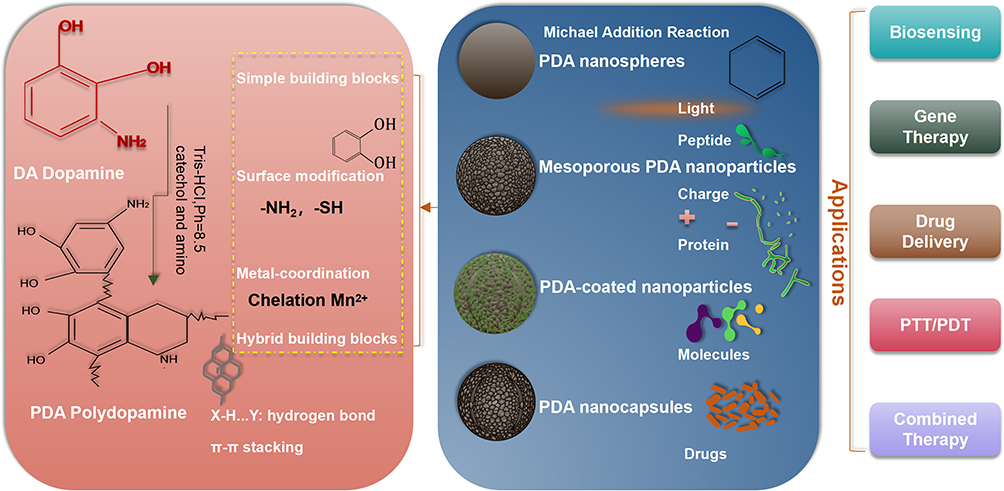 Bioinspired Theranostic Coordination Polymer Nanoparticles for Intranasal  Dopamine Replacement in Parkinson's Disease