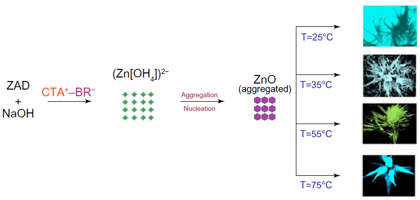 Название соединения zno. Изобразите схему образования химической связи ZNO. Схема образования химической связи ZNO. ZNO схема химической связи. Схема образования ZNO.
